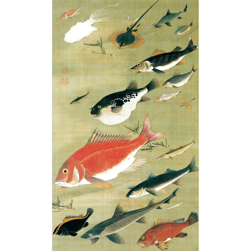 伊藤若冲 動植綵絵 群魚図（鯛） 高級仕様 掛軸 美術品 インテリア 作品 複製画