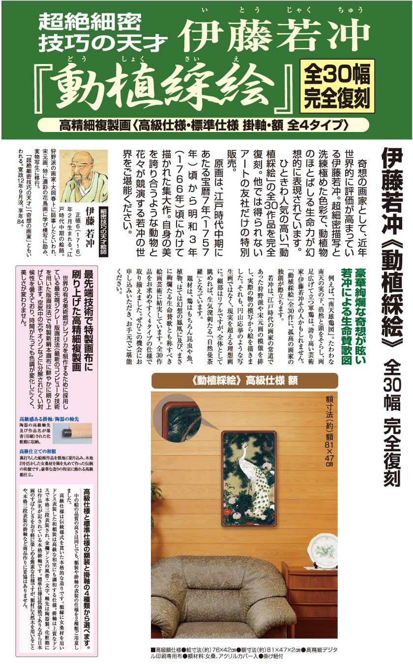 ��ƣ���� ư��彳� ������ �� ��30�����å� ������ ����ƥꥢ ���� ʣ����