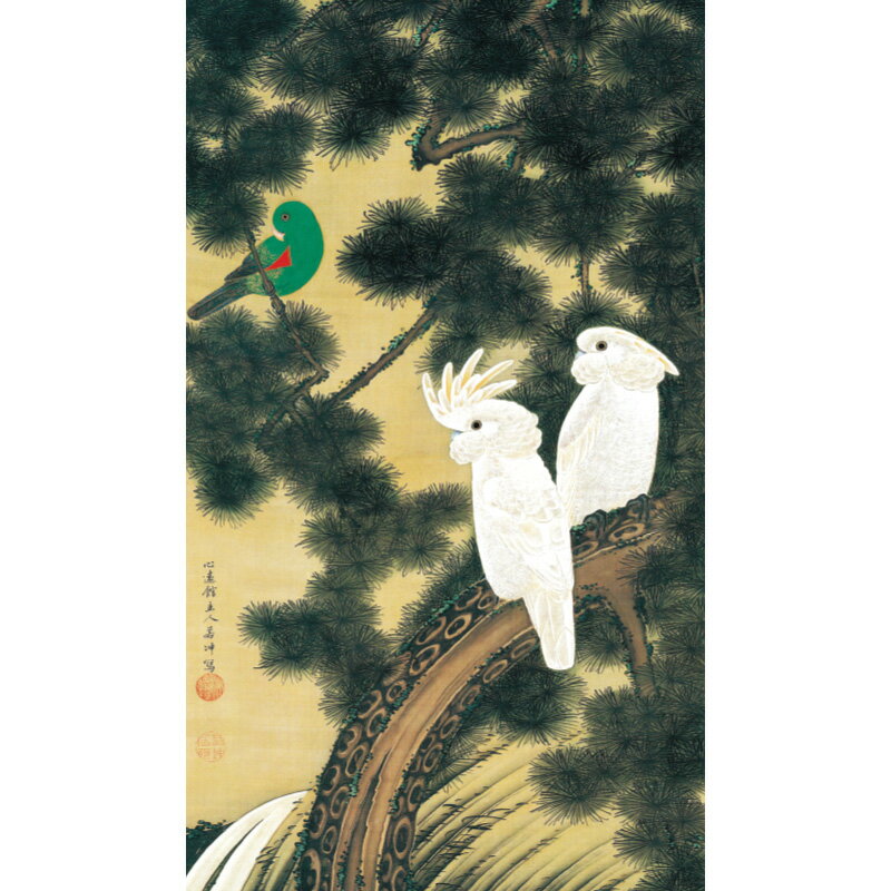 伊藤若冲 動植綵絵 老松鸚鵡図 高級仕様 額 美術品 インテリア 作品 複製画