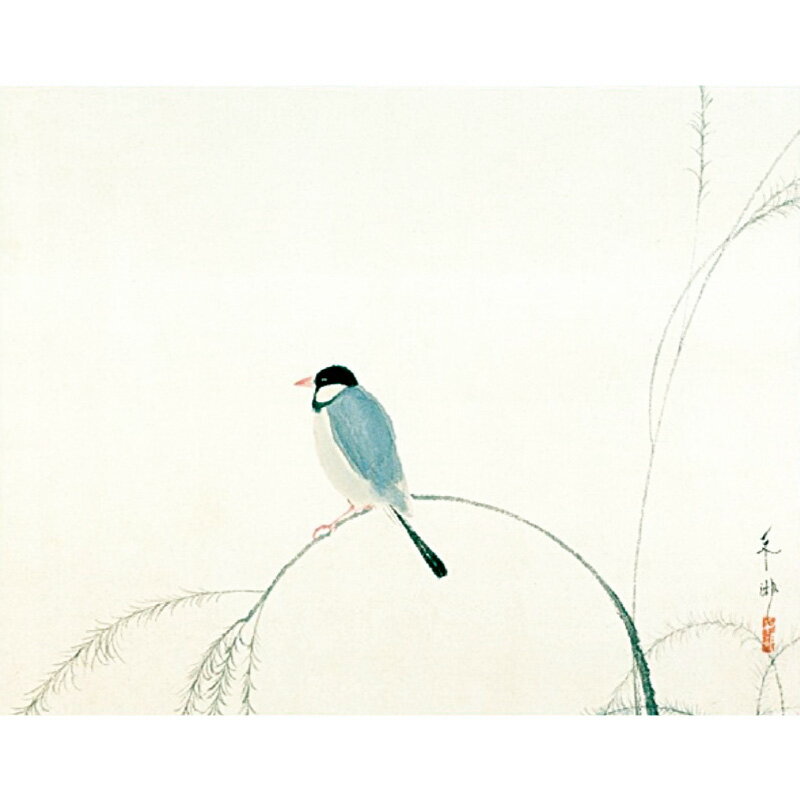 樂天商城 - 速水御舟『文鳥』標準額