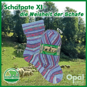 毛糸 Opal オパール Schafpate XI(オパール シャフパーテ11)9750 Harmonie 4ply 4本撚り 靴下用毛糸 2019秋冬コレクション てあみ かぎ針 棒針 ニット 手編み 編み物 手芸 ハンドメイド 手作り
