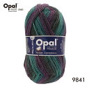 毛糸 Opal オパール Cotton Premium 2020（オパール・コットン・プレミアム2020）9841 4ply 4本撚り 靴下用毛糸 2020春コレクション てあみ かぎ針 棒針 ニット 手編み 編み物 手芸 ハンドメイド 手作り