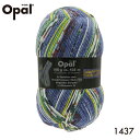 毛糸 Opal オパール 靴下用毛糸 Hundert