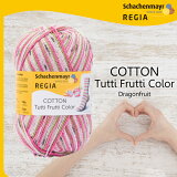 REGIA ӻ COTTON Tutti Frutti Color 02419