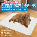 【セール割引中】ペットシーツ 洗えるペットシーツ 2枚セット ペットマット 猫 犬 おしっこマット トイレシート 防水 滑り止め 漏れ防止 床 傷防止 速乾 超吸収 下敷き マット 漏れない ペット用 おしっこパッド 介護 白 ホワイト おしっこ対策 小型犬 中型犬 大型犬(4)