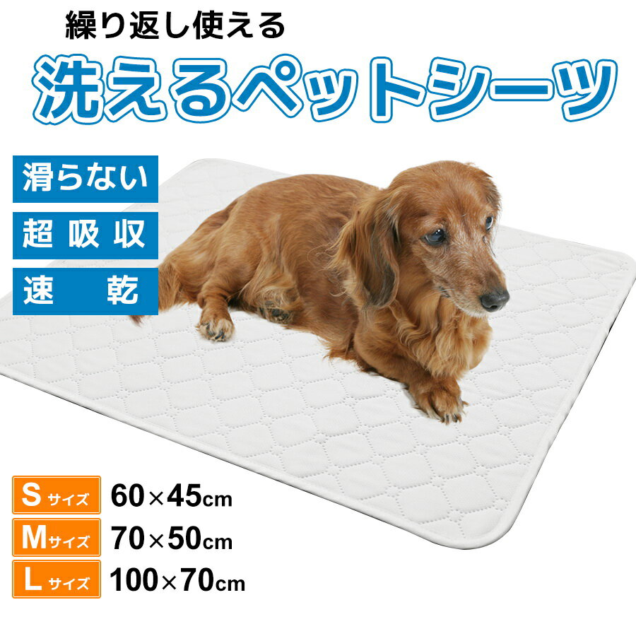 【P5倍 17日着も可】ペットシーツ 洗えるペットシーツ 2枚セット ペットマット 猫 ...