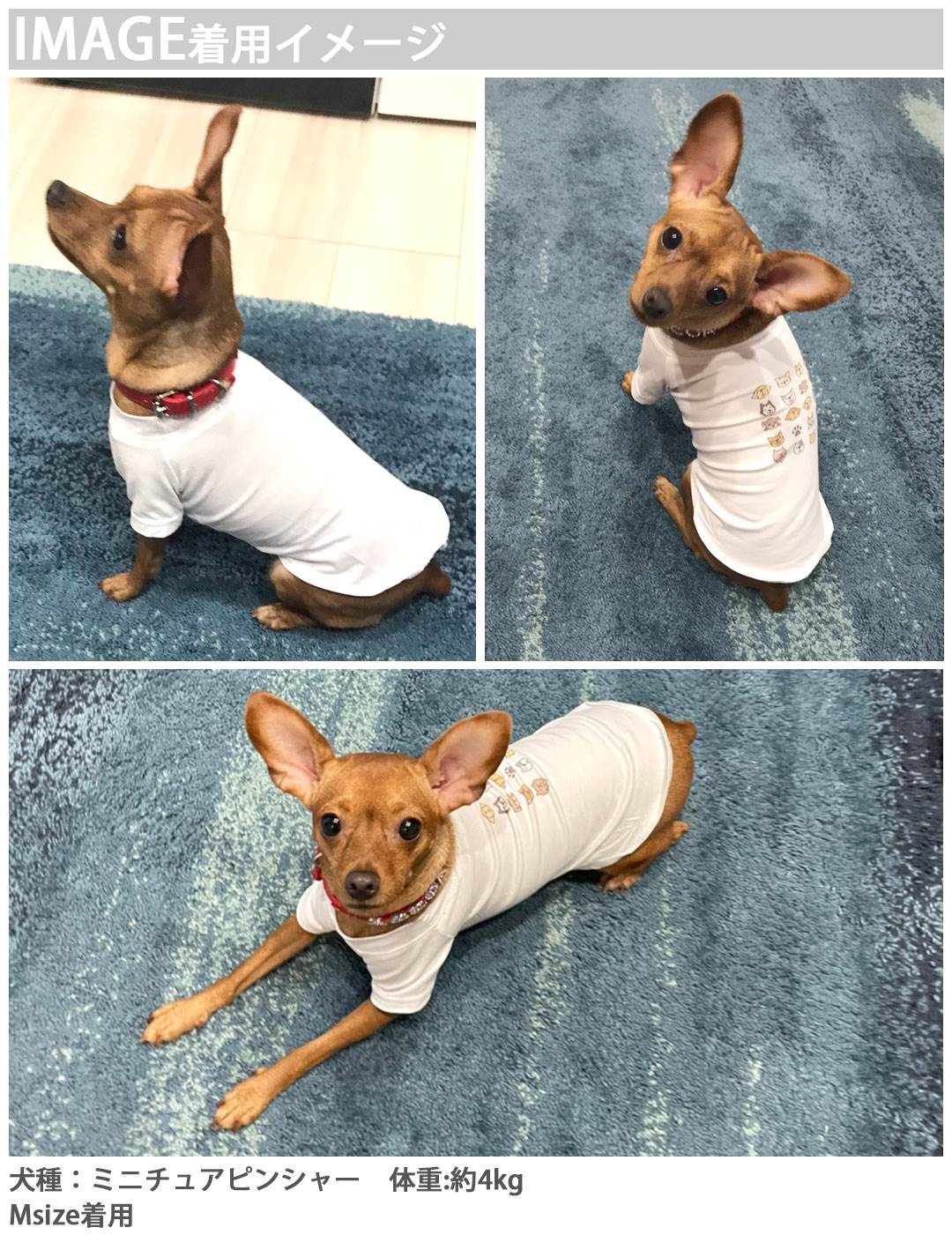 犬専用Tシャツ 選べる5size 小型犬 袖あり 半袖 ホワイト デザイン T shirt XS S M L XL ペットウェア ペット服 カジュアル おしゃれ コットン 綿 アニマル ヒョウ柄　ひょうがら　グレー 000137