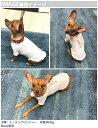 犬専用Tシャツ 選べる5size 小型犬 袖あり 半袖 ホワイト デザイン T shirt XS S M L XL ペットウェア ペット服 カジュアル おしゃれ コットン 綿 月の満ち欠け　宇宙　月 016023 3