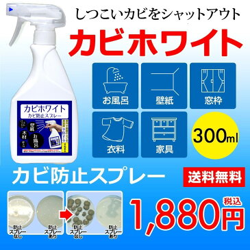 カビホワイト 最長2年間の防カビが期待できます!壁紙・浴室・ゴムパッキン・ベッドフレーム・布団・マットレス・障子の木枠・キッチンのコーキング・家具・畳・カーテンの長期間の防カビ【カビホワイト カビ防止スプレー300ml】(03kabi)