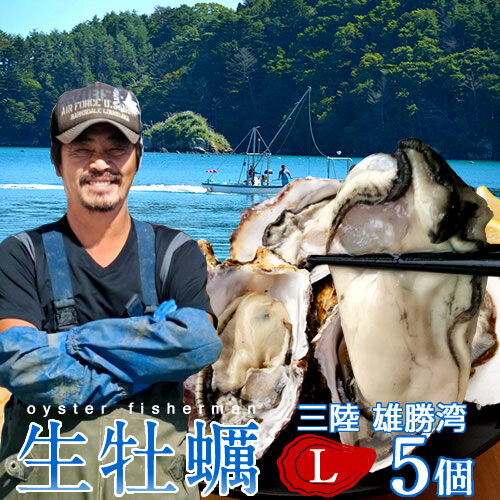 カキ 生牡蠣 殻付き 生食用 牡蠣 特大L 5個生ガキ 大粒カキ 三陸宮城県産 雄勝湾(おがつ湾)漁師直送 お取り寄せ 新鮮生がき ギフト プレゼント