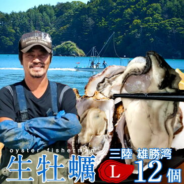 生牡蠣 殻付き 生食用 牡蠣 特大L 12個生ガキ 大粒カキ 三陸宮城県産 雄勝湾(おがつ湾)漁師直送 お取り寄せ 新鮮生がき父の日ギフト プレゼント