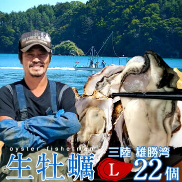 【送料無料】生牡蠣 殻付き 生食用 牡蠣 特大L 22個生ガキ 大粒カキ 三陸宮城県産 雄勝湾(おがつ湾)漁師直送 お取り寄せ 新鮮生がき