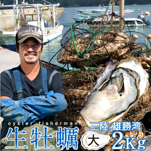 カキ 生牡蠣 殻付き 2kg 大 生食用【送料無料】宮城県産 漁師直送 格安カキ 生牡蠣お取り寄せ プレゼント［お歳暮 ギフト］