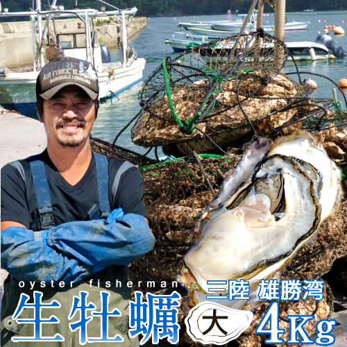 カキ 生牡蠣 殻付き 4kg 大 生食用【送料無料】宮城県産 漁師直送 格安カキ 生牡蠣お取り寄せ ギフト プレゼント