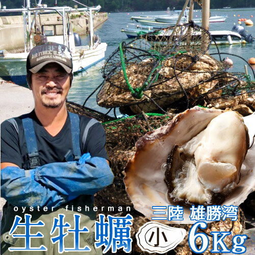 カキ 生牡蠣 殻付き 6kg 小 食べやすい 生食用 宮城県