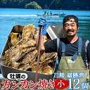 カキ 生牡蠣 カンカン焼きセット 殻