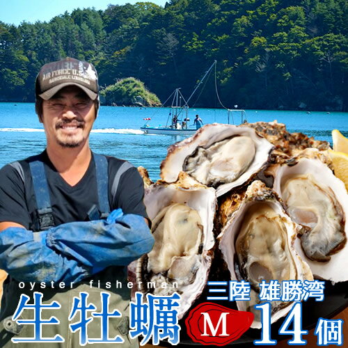 【送料無料】カキ 生牡蠣 殻付き 生食用 牡蠣 M 14個生ガキ 三陸宮城県産 雄勝湾(おがつ湾)カキ漁師直送 お取り寄せ 新鮮生がき 感動 産地直送 生産者支援 おすすめ［敬老の日 ギフト］