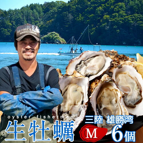 カキ 生牡蠣 殻付き 生食用 牡蠣 M 6個 食べやすい 生ガキ 三陸宮城県 石巻産 カキ漁師直送 お取り寄せ 新鮮生がき産地直送［ 父の日 ..