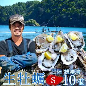 生牡蠣 殻付き 生食用 牡蠣 S 10個生ガキ 三陸宮城県産 雄勝湾(おがつ湾)カキ漁師直送 お取り寄せ 新鮮生がき