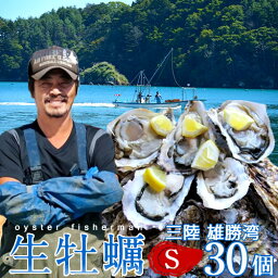 カキ 生牡蠣 殻付き 生食用 牡蠣 S 30個 食べやすい 生ガキ 三陸宮城県 石巻産 カキ漁師直送 お取り寄せ 新鮮生がき 産地直送［ 母の日 ギフト 2024］