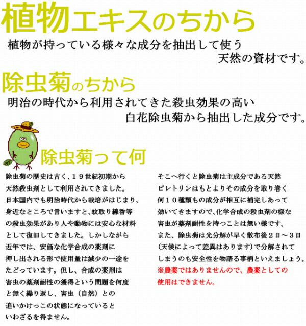 ��Υ����༣����-2L