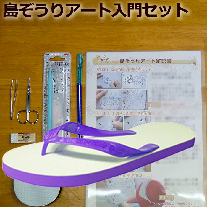 メンズ トング島ぞうり アート 入門セット (パープル 紫 26cm ) 「人気の スカイウェイ ブランド 」 島ぞうり メンズ レディース キッズ 子供 ビーサン 【 SKYWAY 元祖 島草履 （ 島ぞうり ） 】 【 送料無料 】