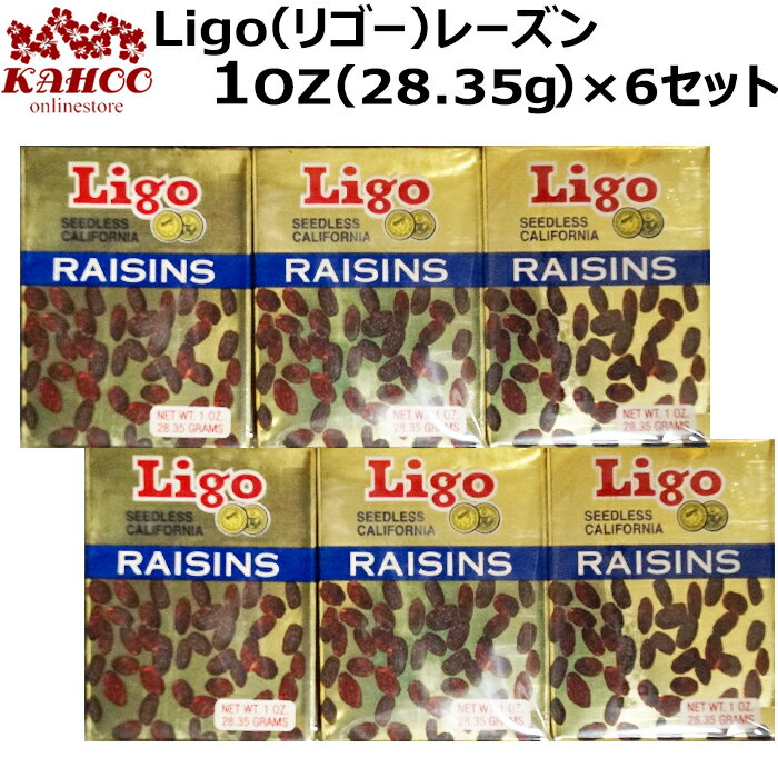 Ligo ꥴ 졼 1oz28.35gˡ6Ȣ ɥ쥹 raisins ss10
