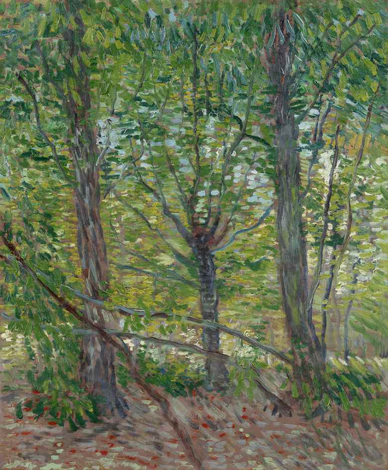 【送料無料】絵画 油彩画複製油絵複製画/ゴッホ 木々と下生え 【すぐに飾れる豪華額縁付 キャンバス】