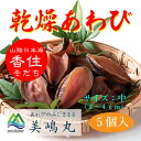 美嶋丸　乾燥あわび 中 5個セット 香住育ち　昆布で育てた極上あわび【冷凍便】【送料無料】 [干し鮑/乾燥鮑/干しあわび/干しアワビ/高品質/高級/香住]　[MSM]