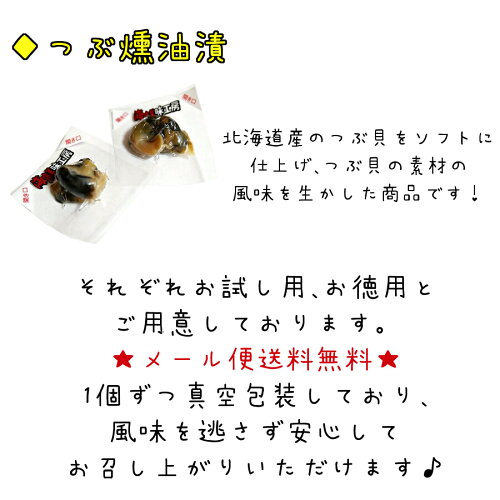 1000円ポッキリお試しポイント消化鮭チーズ15個入送料無料サケナチュラルチーズ珍味おやつ酒の肴つまみ一口サイズひと口ポイント消化北海道海鮮貰って嬉しい贈答贈物メール便