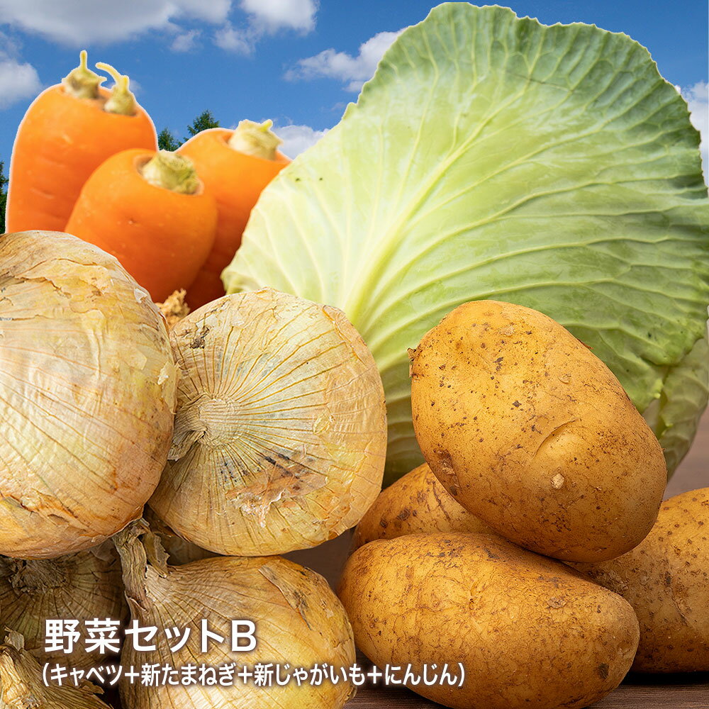 【あす楽対応】野菜セットB（キャベツ・新たまねぎ・新じゃがいも・にんじん）4種セットきゃべつ 玉ね..