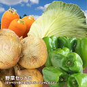 【店内2点以上で8%OFFクーポン】【営業日当日発送】野菜セットC(キャベツ・新たまねぎ・ピーマン・にんじん)4種セットきゃべつ 玉ねぎ ぴーまん 人参 定番 ...