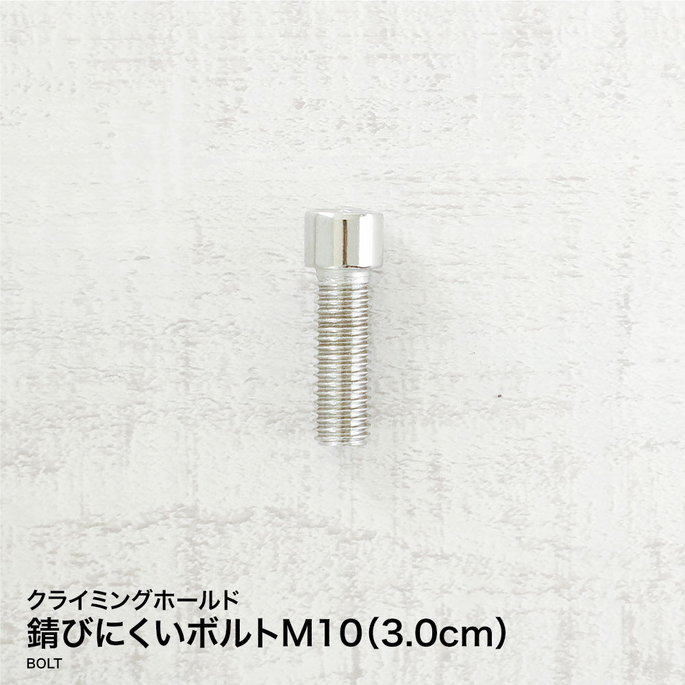 【あす楽対応】錆びにくいボルトM10（3.0cm）クライミング用ボルト 木壁 パネル コンクリート壁 ボルダリングホールド クライミングホールド クライミングウォール ロッククライミング トレーニング