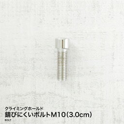 【ポイント最大10倍】【あす楽対応】錆びにくいボルトM10（3.0cm）クライミング用ボルト 木壁 パネル コンクリート壁 ボルダリングホールド クライミングホールド クライミングウォール ロッククライミング トレーニング