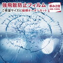 ガラス 強飛散防止フィルム 災害対策 窓 防災 スタンダードタイプの厚み2倍タイプ(HB-100N)ミリ単位でオーダーカット 地震 防災 台風 怪我対策 飛散防...