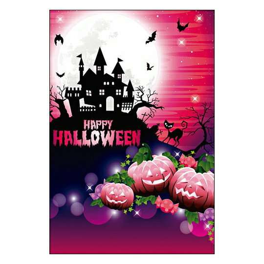 【在庫限りで販売終了!】ハロウィン【DMC-049】10枚パック メッセージカード ハガキサイズ デザインメッセージカードにハロウィンデザイン登場!【ハロウィン...