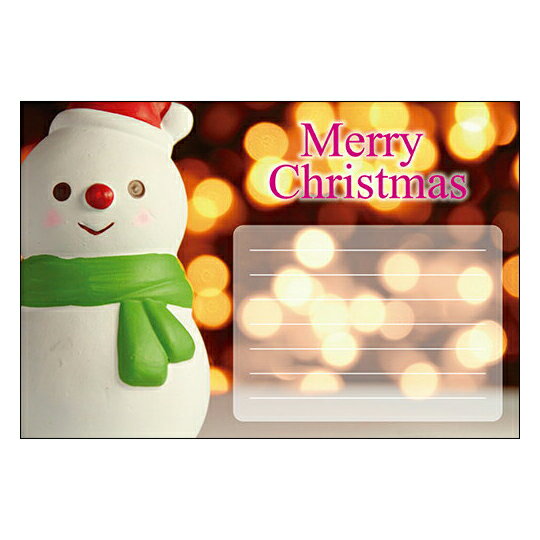 【在庫限りで販売終了!】クリスマスカード サンタクロース サンタ 【DMC-060-L】100枚パック メッセージカード ハガキサイズ デザインメッセージカード...