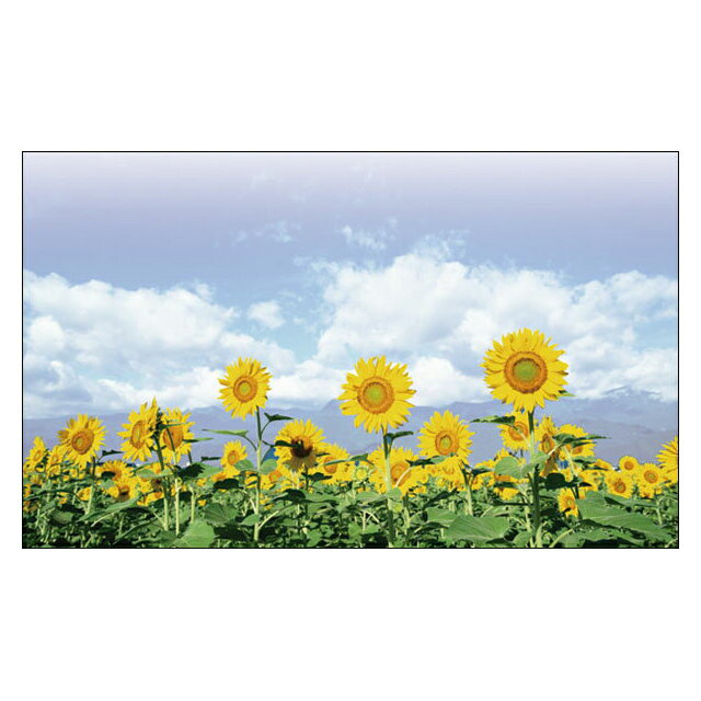 DMM-04720ѥå ơҤޤꡡڤ˻Ȥ̾ɥΥå ǥåɥߥ ߥ˥åɡڥ᡼б...