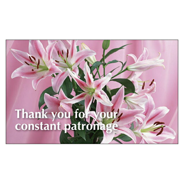 サンキューカード 感謝 ぷちカード ありがとうカード おめでとうカード 名刺サイズ メッセージカード デザイン メッセージカードミニ ミニサイズ 手書き カラフ...