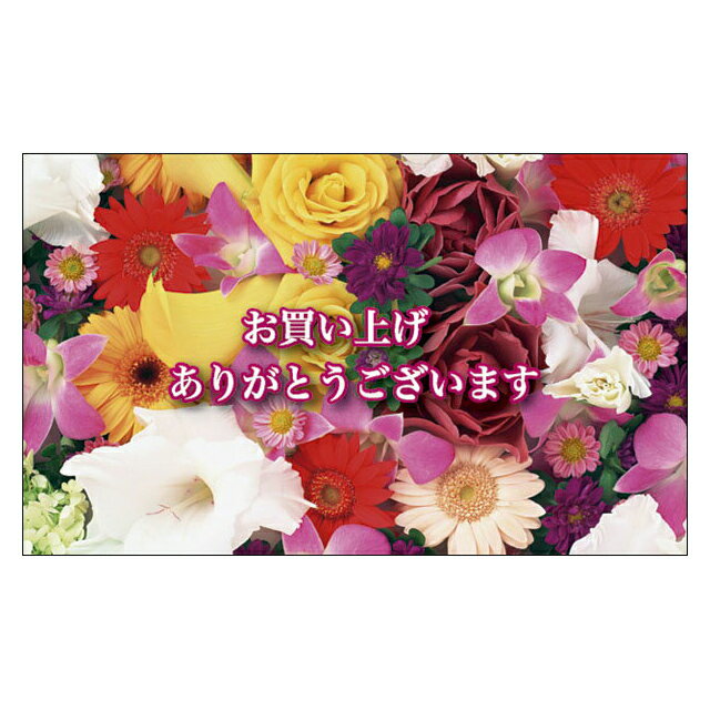 サンキューカード 感謝 ぷちカード ありがとうカード おめでとうカード 名刺サイズ メッセージカード デザイン メッセージカードミニ ミニサイズ 手書き カラフ...