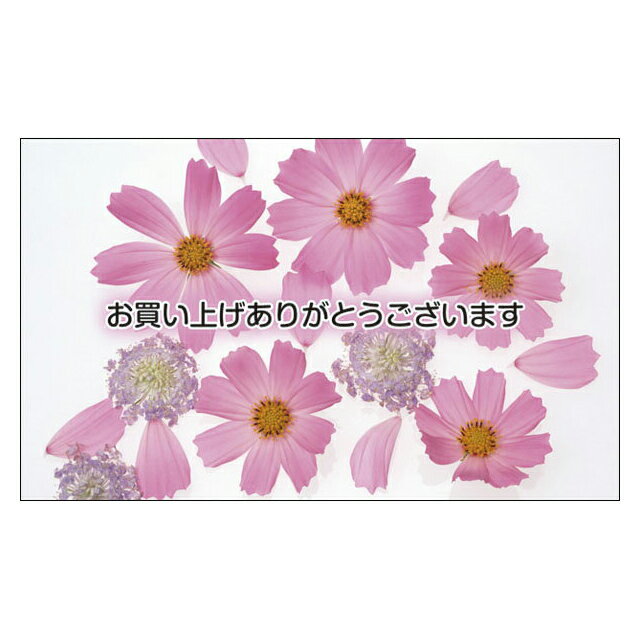 サンキューカード 感謝 ぷちカード ありがとうカード おめでとうカード 名刺サイズ メッセージカード デザイン メッセージカードミニ ミニサイズ 手書き カラフ...