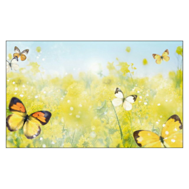 春夏コレクション 菜の花とチョウチョ【DMM-121】20枚パック 春 気軽に使える名刺サイズのメッセージカード デザインメッセージカードミニ ミニメッセージ...