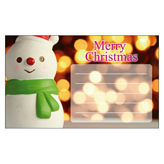 クリスマスカード サンタクロース サンタ 【DMM-149】20枚パック 気軽に使える名刺サイズのメッセージカード デザインメッセージカードミニ ミニメッセージ...