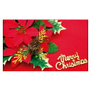クリスマスカード サンタクロース サンタ 20枚パック 気軽に使える名刺サイズのメッセージカード デザインメッセージカードミニ ミニメッセージカード