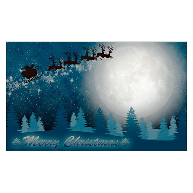 クリスマスカード サンタクロース サンタ 【DMM-154】20枚パック 気軽に使える名刺サイズのメッセージカード デザインメッセージカードミニ ミニメッセージ...