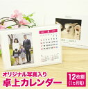 ［2023年8月下旬発売］すみっコぐらし 2024年カレンダー リング卓上 CD38501 デスクカレンダー 日曜はじまり メッセージカード付 スタンドタイプ【ゆうパケット発送 送料無料】【単品発送】【ラッピング不可】