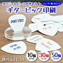 オリジナルピック印刷 ギター ピック バンド ロゴ ノベルティ 記念品 グッズ販売 ライブ 物販 プレゼント ギフト ロック ブルース ジャズ エレキギター ア...