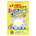 スクラッチカード スクラッチくじ 福引 イベント キャンペーン 売り出し セール お祭り 販促 集客 商売繁盛 応援 ツスクラッチカード SC-702 メール便...