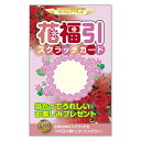 【マジカルスクラッチ A4シート10面付】企画 販促品 運 子供会 町内会 福引スクラッチ これ1パックあればスクラッチカードキャンペーンが今すぐ出来る! 商売...