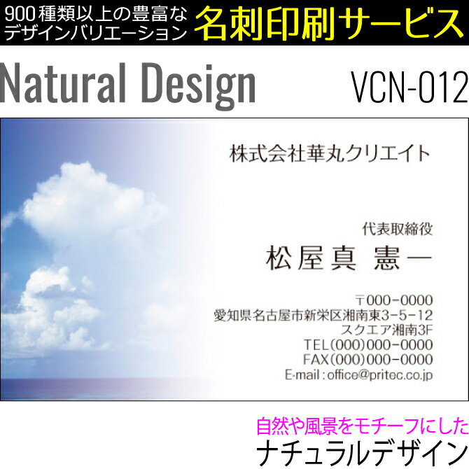 【名刺印刷】お洒落な名刺作成 デザイン名刺 ビジネス名刺 ナチュラルデザイン［VCN-012］《100枚入》【ネコポス送料無料】